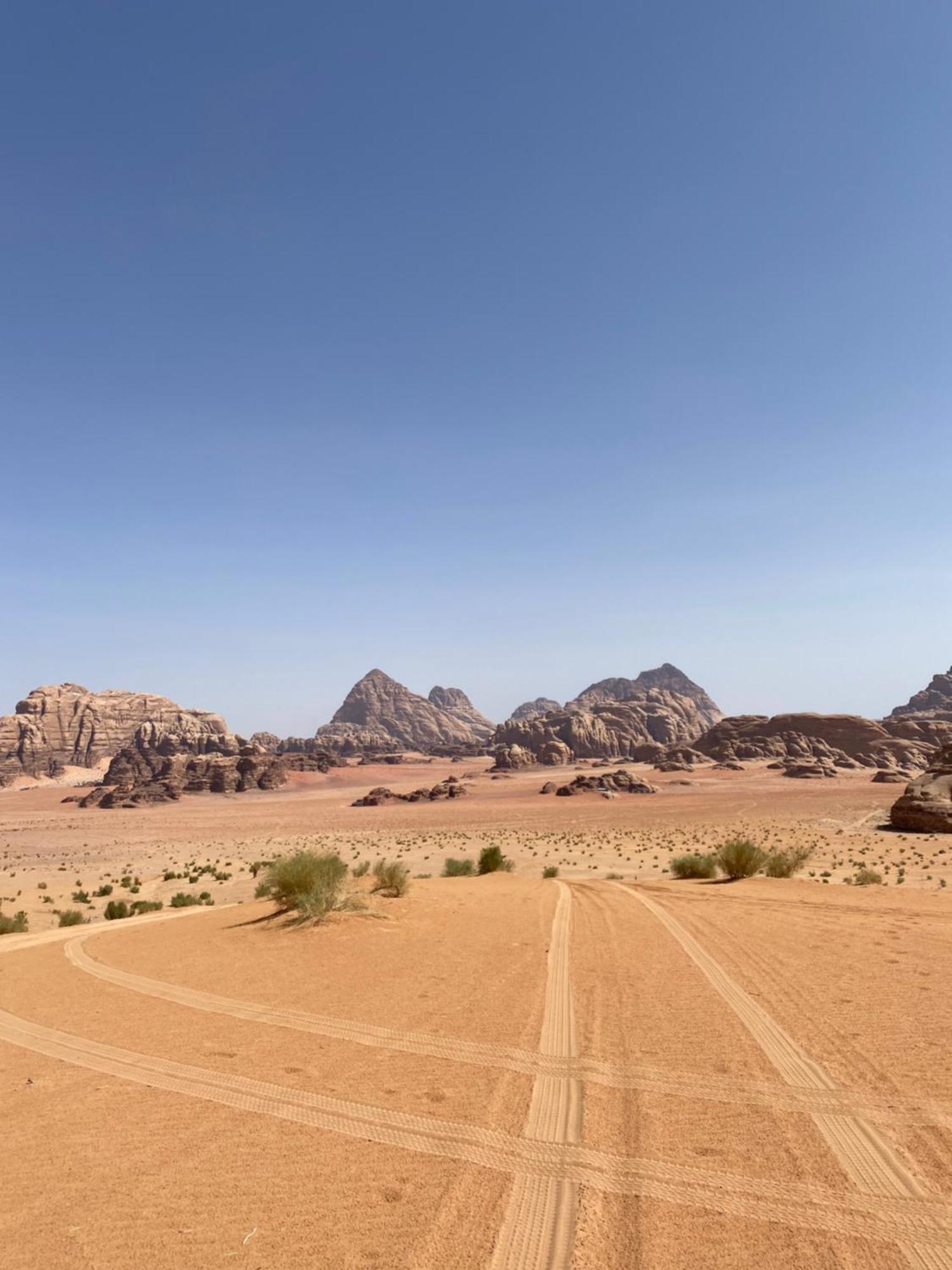 Desert Hawk Otel Ram Vadisi Dış mekan fotoğraf